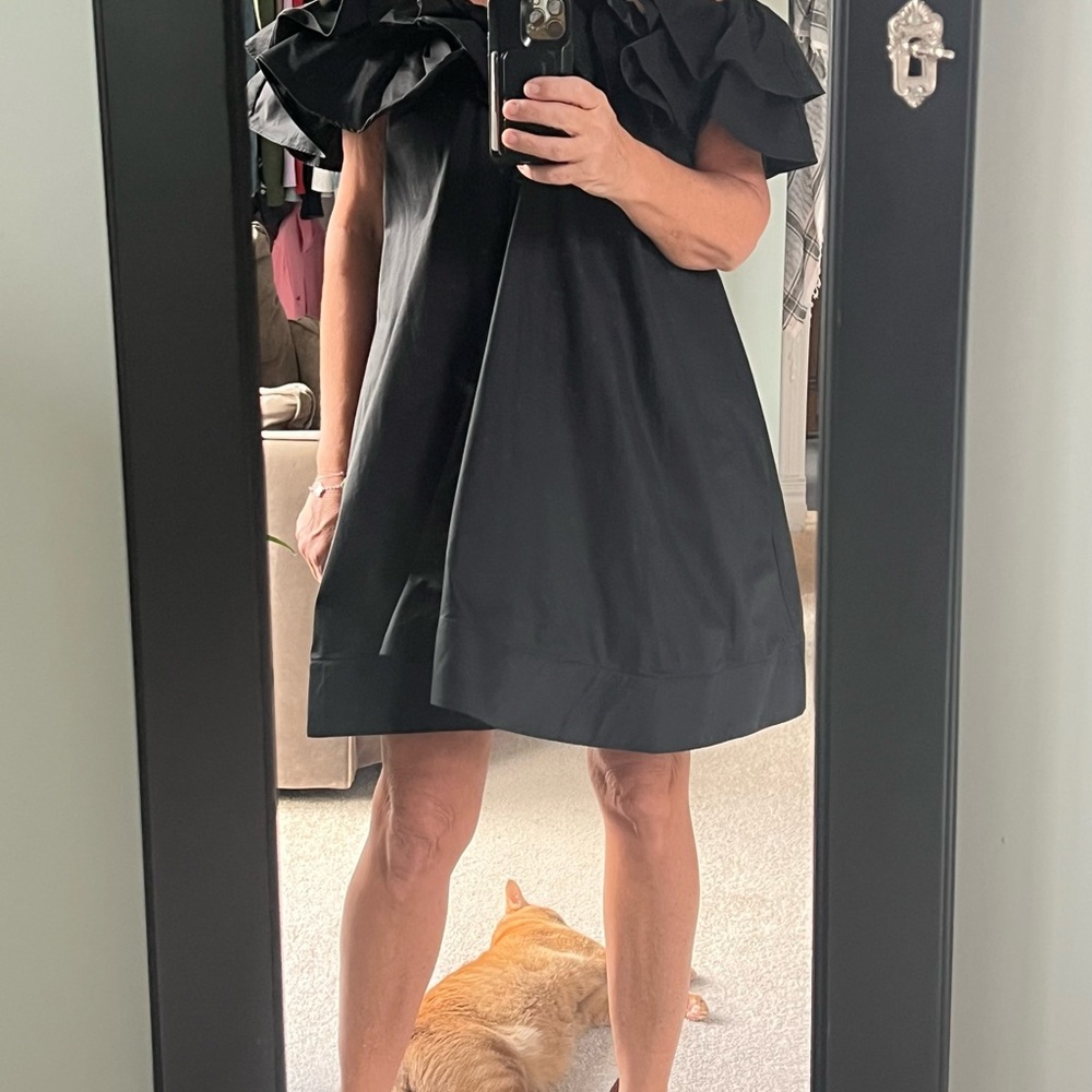 BHLDN Black Dress with Ruffle Detail - By Anthropologie, never worn